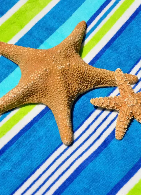 Starfish on a beach towel in Ocean City